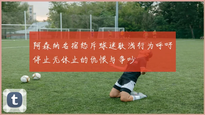 阿森纳名宿怒斥球迷肤浅行为呼吁停止无休止的仇恨与争吵