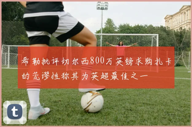 希勒批评切尔西800万英镑求购扎卡的荒谬性称其为英超最佳之一